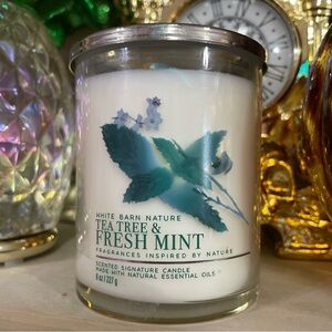 White Barn tea tree & fresh mint Candle